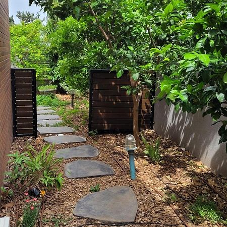Appartement נקודות ריפוי à Tirat Carmel Extérieur photo