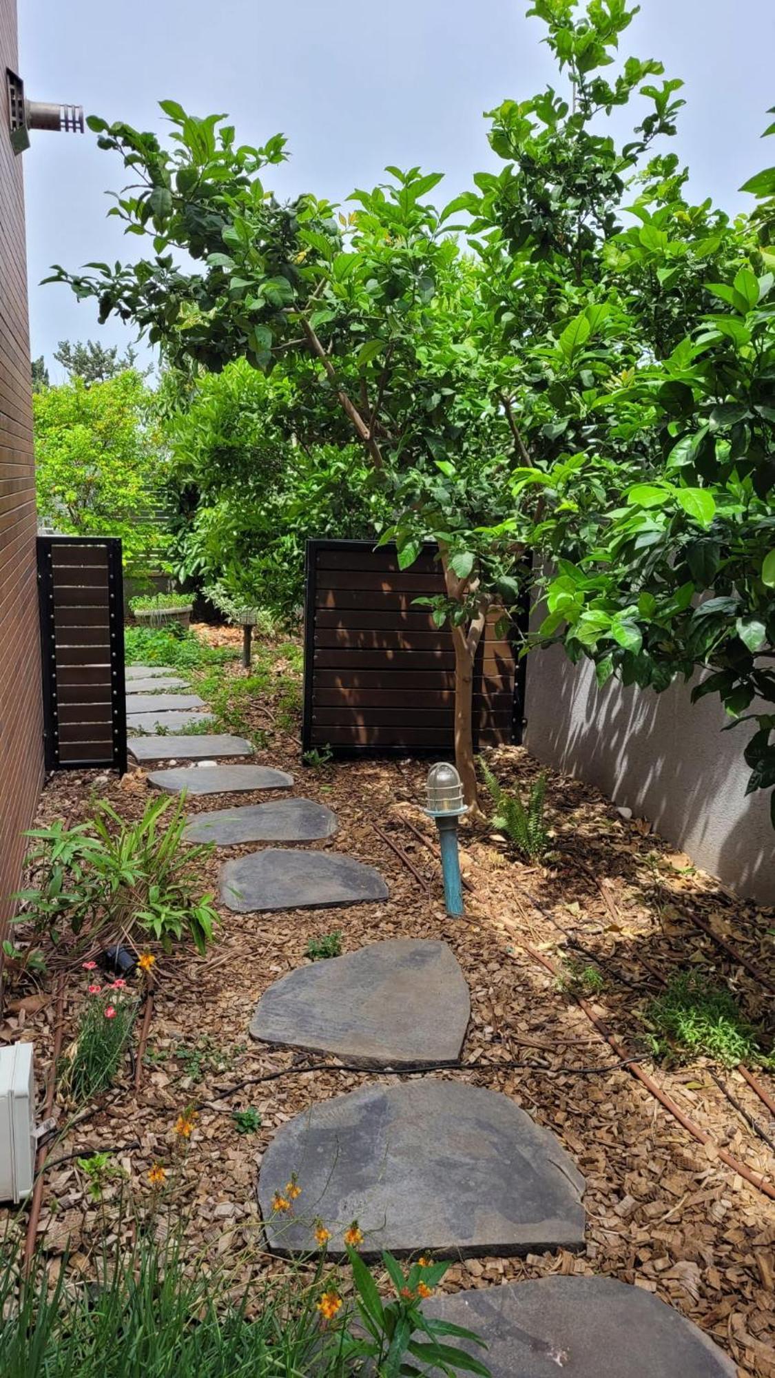 Appartement נקודות ריפוי à Tirat Carmel Extérieur photo